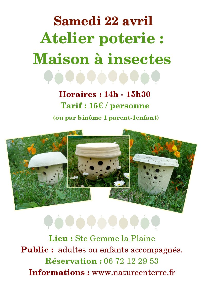 201704_AtelierMaisonInsectes