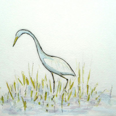 Grande aigrette (Croquis réalisé sur le terrain, 23x31 cm, 65€)