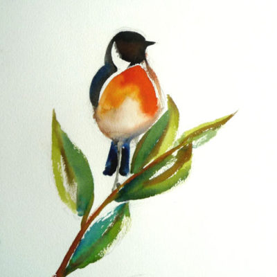 Tarier pâtre (Aquarelle)
