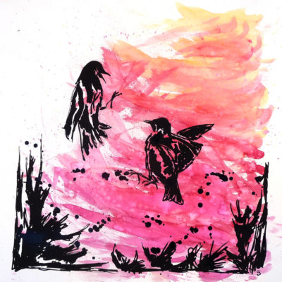 Le combat : Etourneaux sansonnets (50 x50cm, 100€)