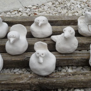 Oiseaux