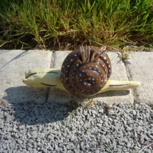 Escargot porte-pic
