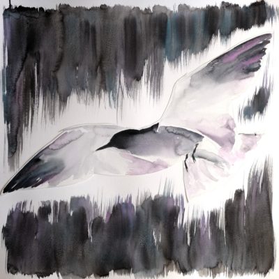Guifette noire (Aquarelle 50 x50cm, 100€)